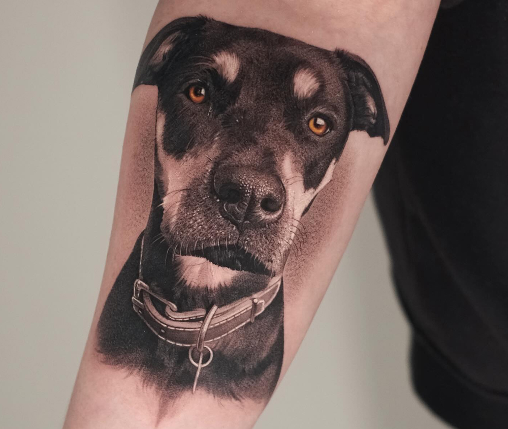 The Growing Trend of Pet Tattoos: A Token of Love Immortalized on the Skin 1 Pet tattoos jose contreras austin dallas