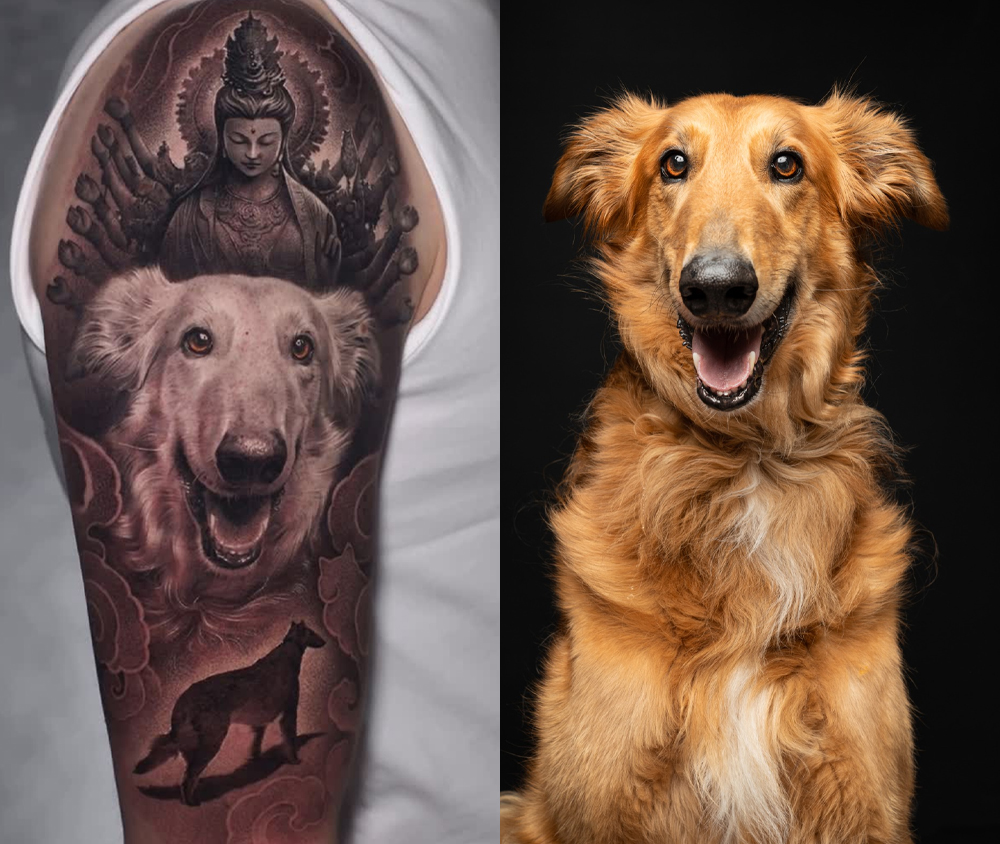 My borzoi, Bodhi, was my heart outside my body 1 pet portraits black and grey jose contreras austin dallas