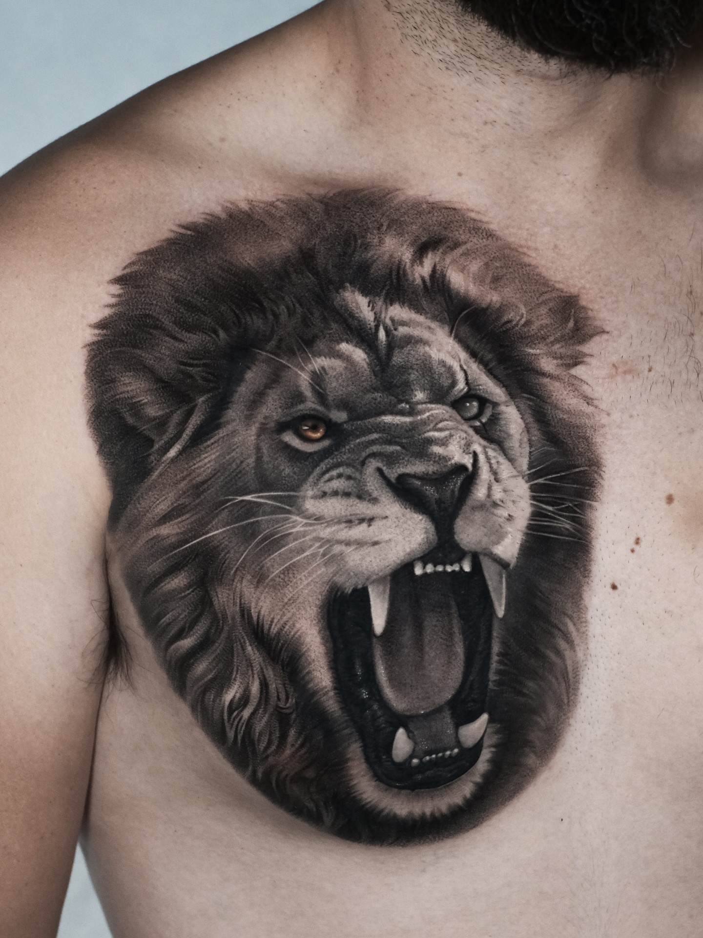 Learn more about our sponsors: brands that trust in Jose 13 What Does a Lion Say About You? - Tattoo Austin