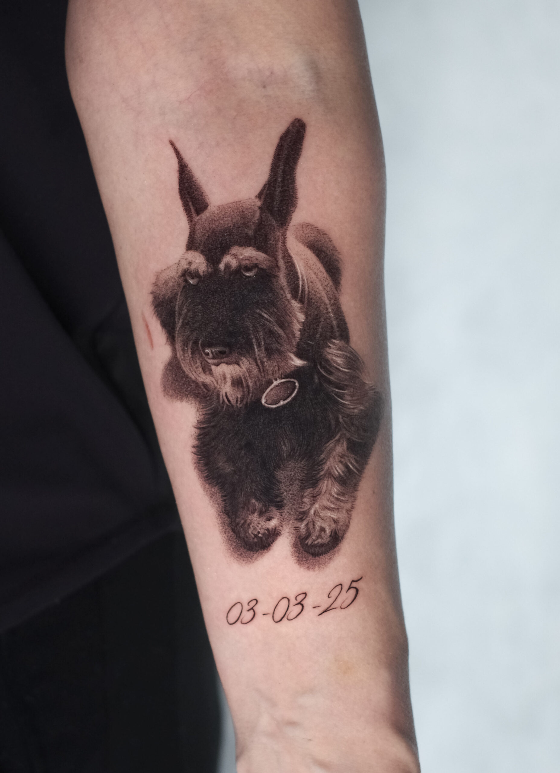 Getting Tattooed With Me in Austin: More Than a Design, It’s an Experience 5 Should You Bring Your Pet to a Tattoo Session?