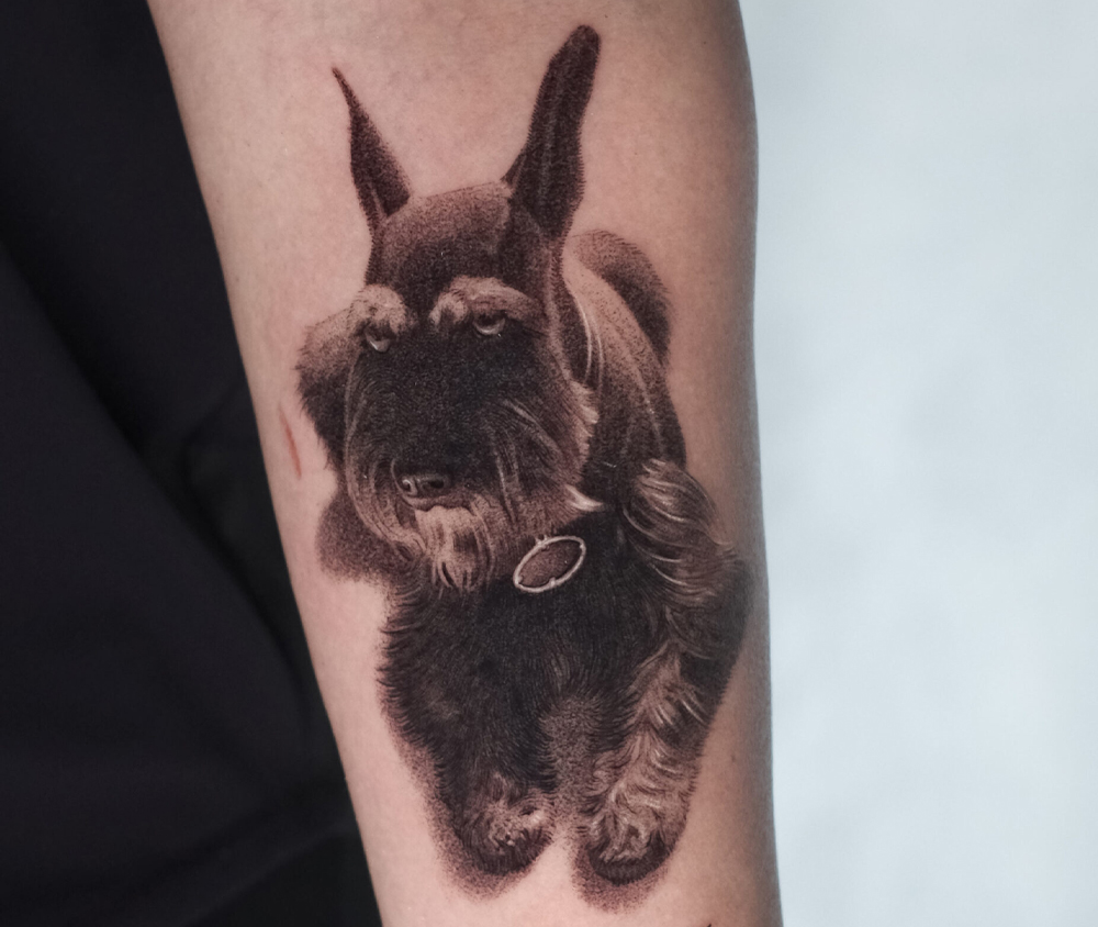 Should You Bring Your Pet to a Tattoo Session? - Austin, Dallas 1 Should You Bring Your Pet to a Tattoo - Session? Dallas, Austin, Colorado, Houston