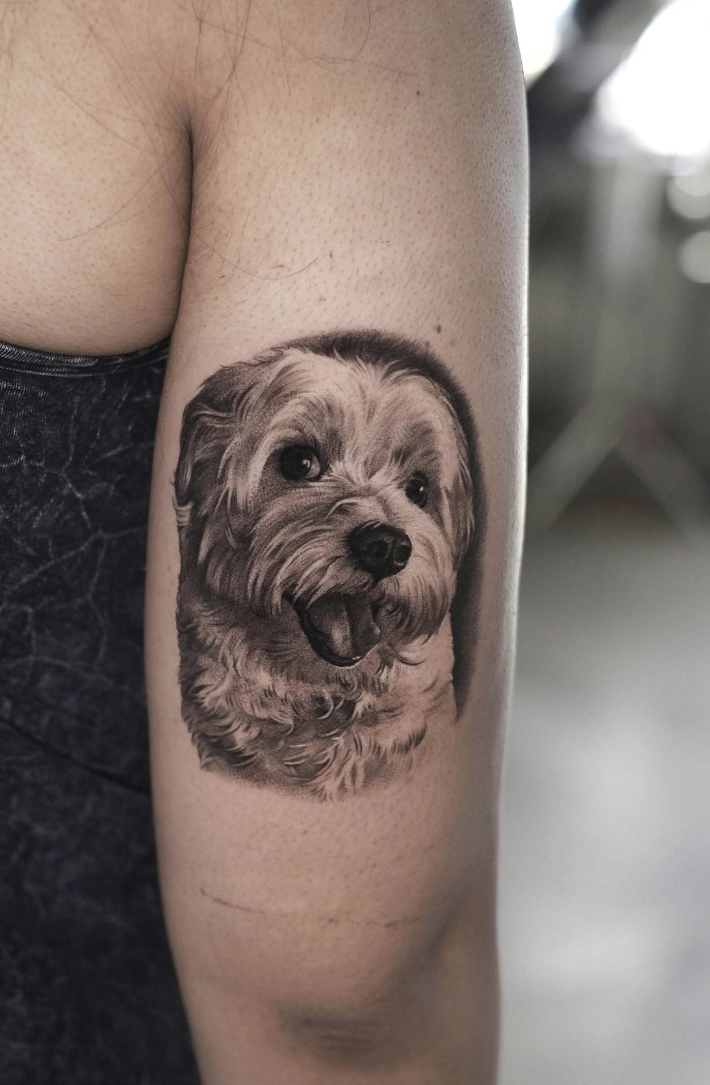 Black and grey realistic cute dog portrait tattoo Pet Portrait Tattoo Artist in Austin